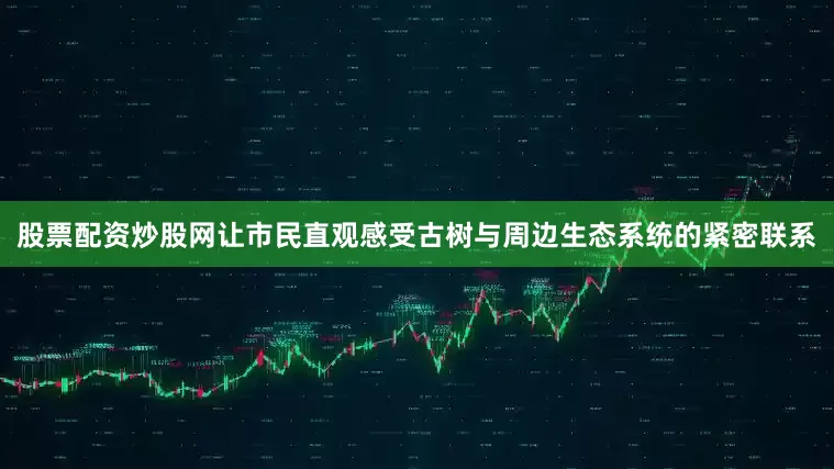 股票配资炒股网让市民直观感受古树与周边生态系统的紧密联系