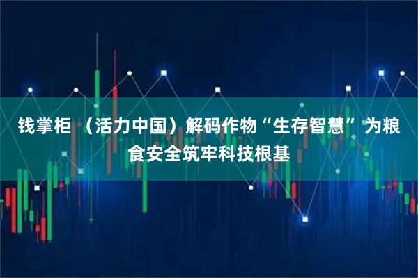 钱掌柜 (活力中国)解码作物“生存智慧” 为粮食安全筑牢科技根基