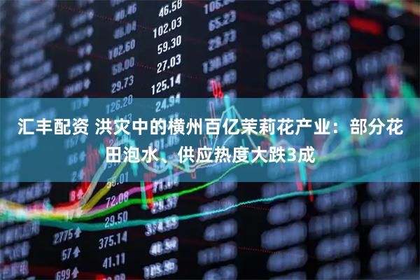 汇丰配资 洪灾中的横州百亿茉莉花产业:部分花田泡水、供应热度大跌3成