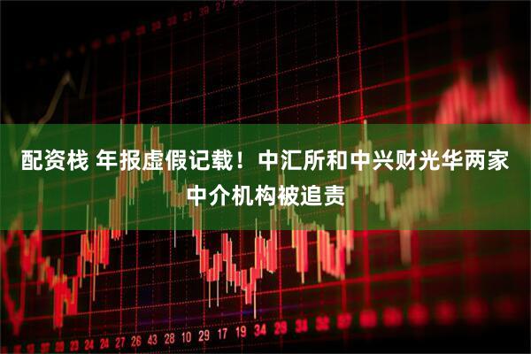 配资栈 年报虚假记载！中汇所和中兴财光华两家中介机构被追责
